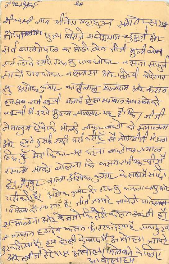 Inde India Cover Card Postal Stationary Tigre — Verso