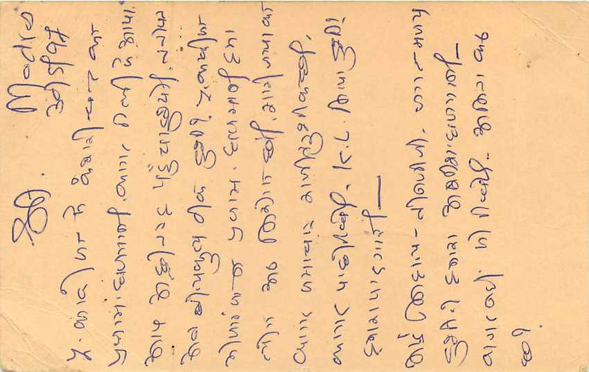 Inde India Cover Card Postal Stationary Singe Monkey Lemurien — Verso