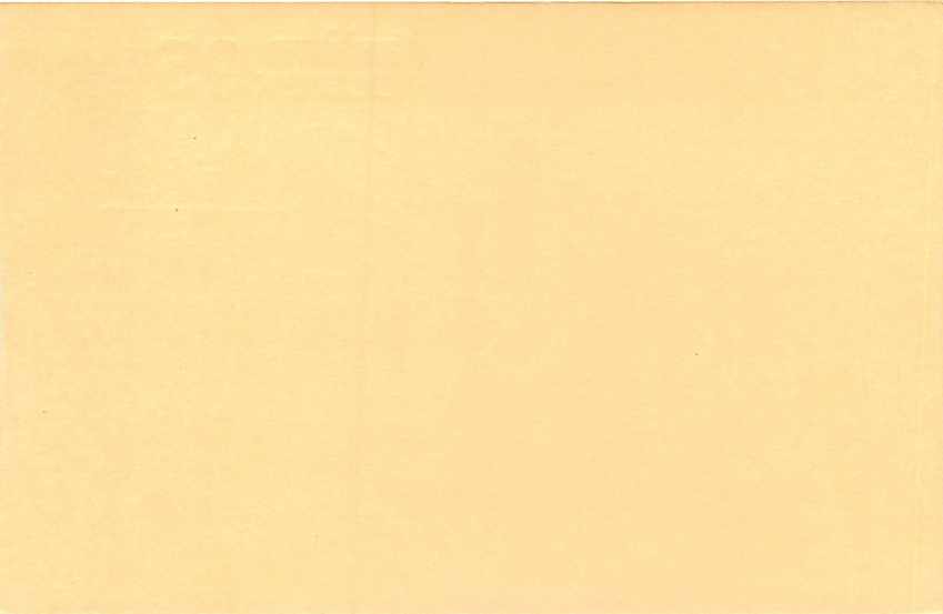 Inde India Cover Card Postal Stationary Singe Monkey Lemurien — Verso