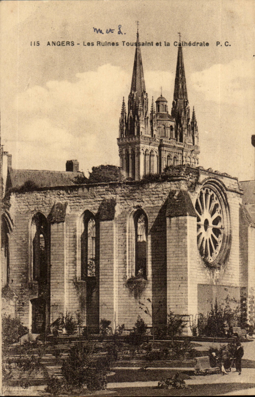 Angers CPA Les ruines Toussaint et la cathedrale