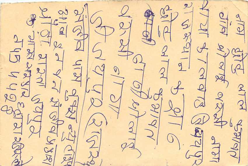 Inde India Entier Postal Stationary Tigre — Verso