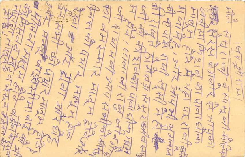 Inde India Entier Postal Stationary Tigre — Verso