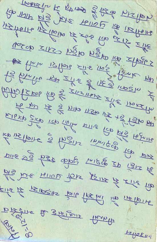 Inde India Entier Postal Stationary Tigre — Verso