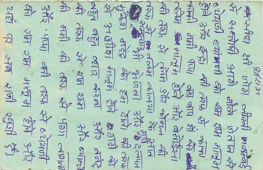 Inde India Entier Postal Stationary Tigre — Verso