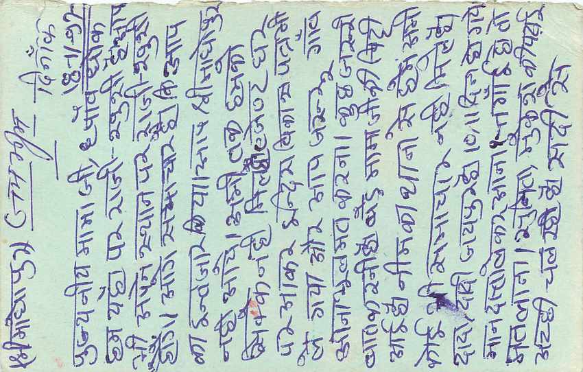 Inde India Entier Postal Stationary Tigre — Verso