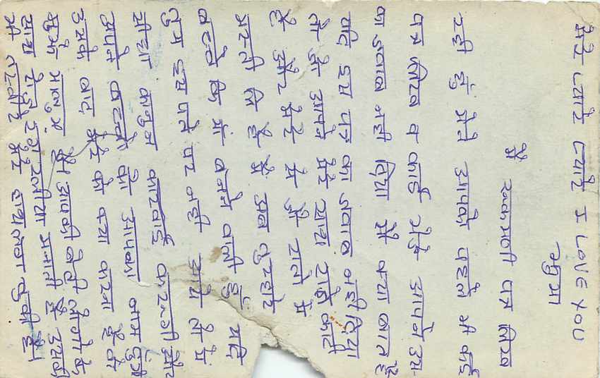 Inde India Entier Postal Stationary Tigre — Verso