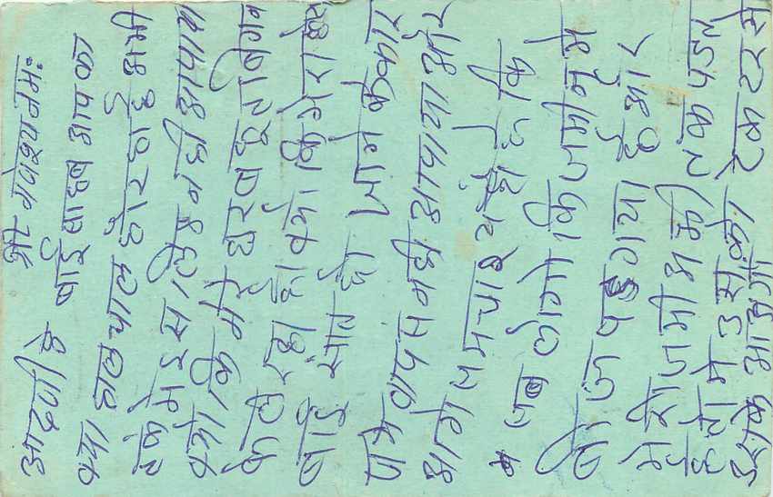 Inde India Entier Postal Stationary Tigre — Verso