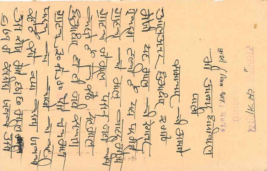Inde India Entier Postal Stationary Tigre — Verso