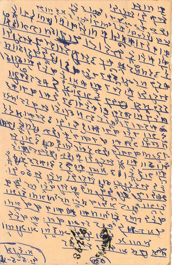 Inde India Entier Postal Stationary Tigre — Verso