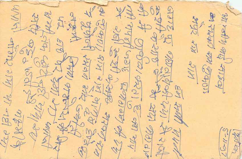 Inde India Entier Postal Stationary Tigre — Verso
