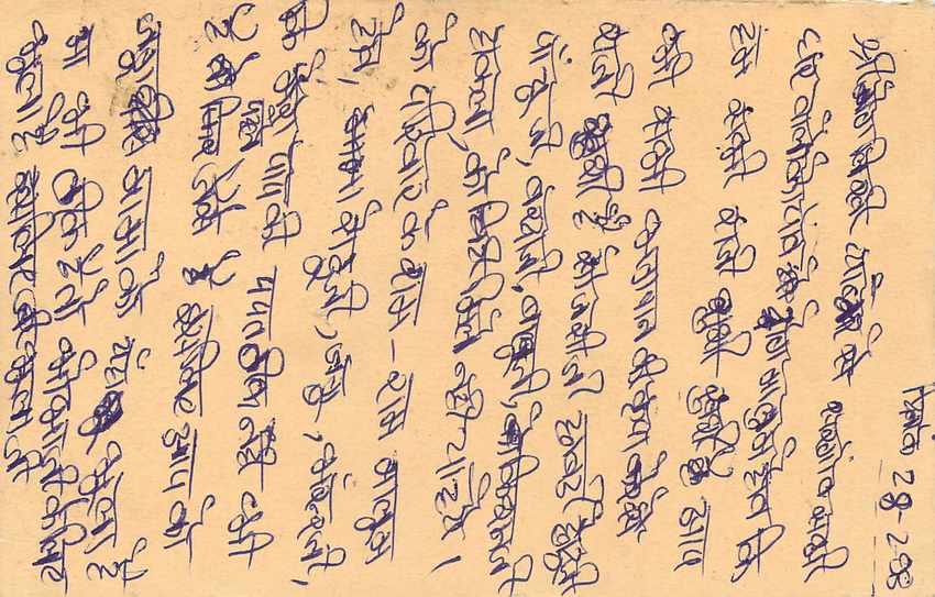 Inde India Entier Postal Stationary Tigre — Verso