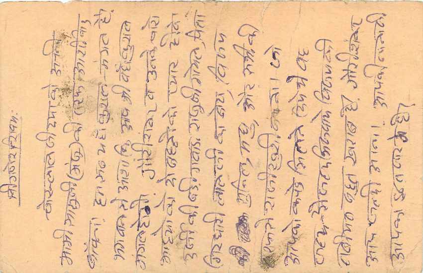 Inde India Entier Postal Stationary Tigre — Verso