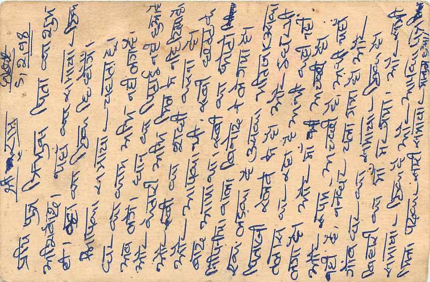 Inde India Entier Postal Stationary Tigre — Verso