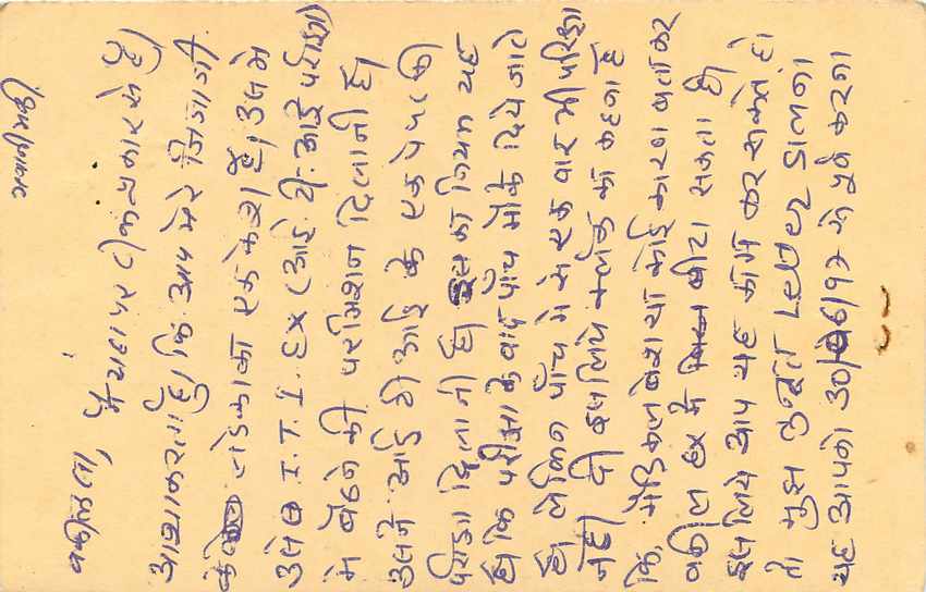 Inde India Entier Postal Stationary Tigre — Verso