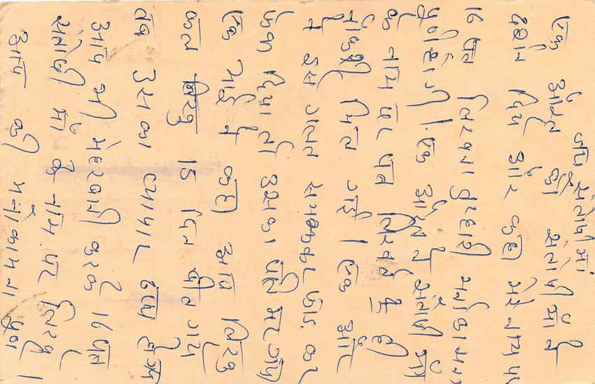 Inde India Entier Postal Stationary Tigre — Verso