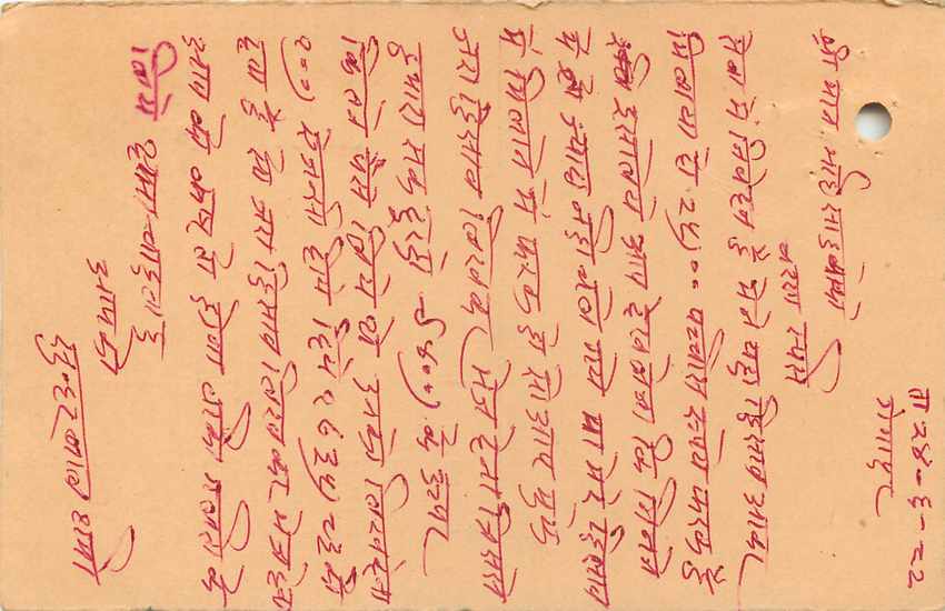 Inde India Entier Postal Stationary Tigre — Verso