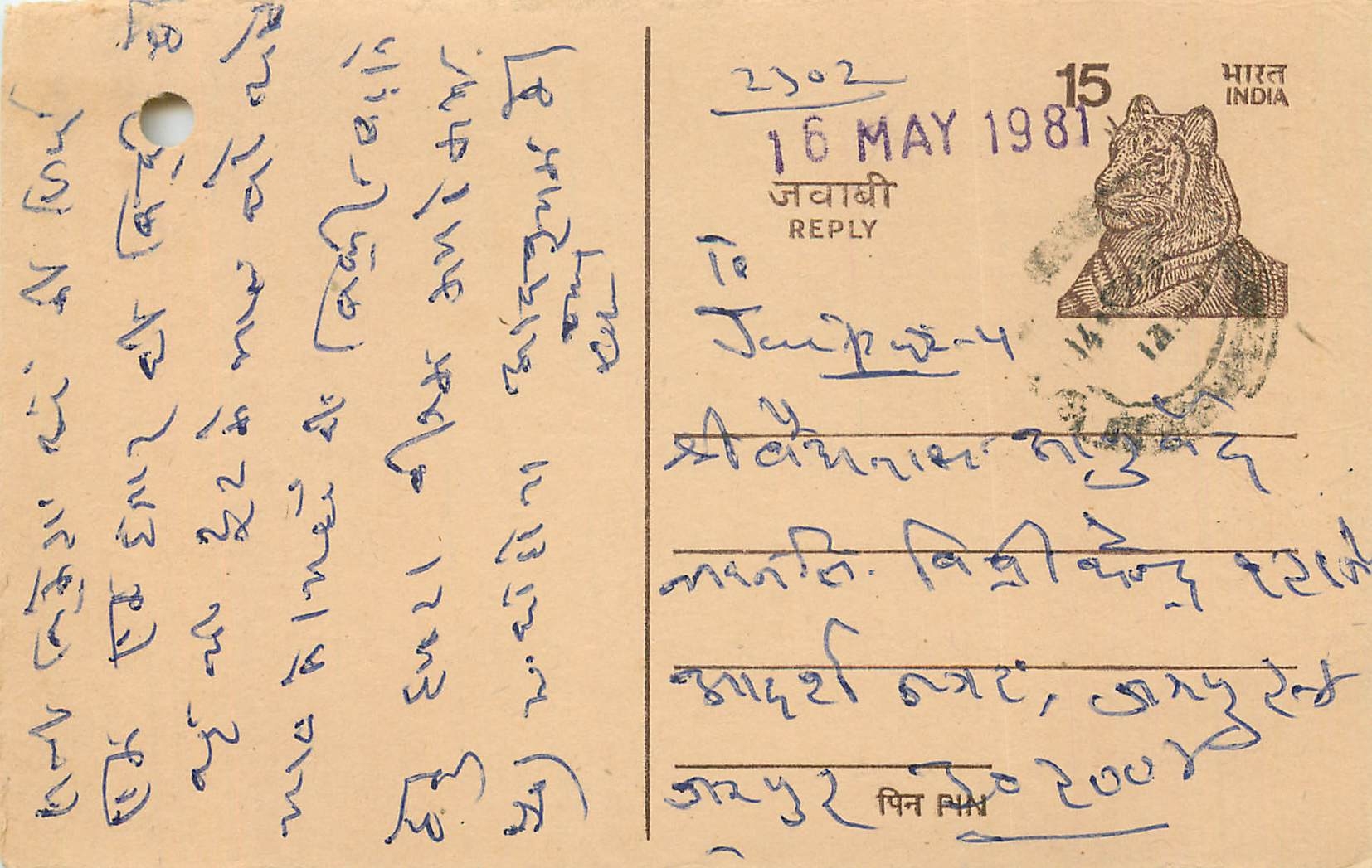 Inde India Entier Postal Stationary Tigre