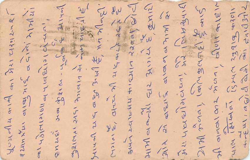 Inde India Entier Postal Stationary Tigre — Verso