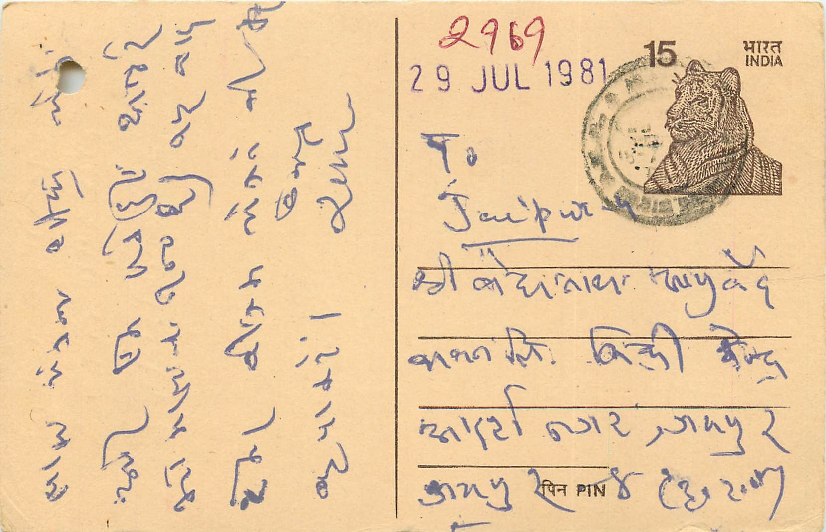 Inde India Entier Postal Stationary Tigre