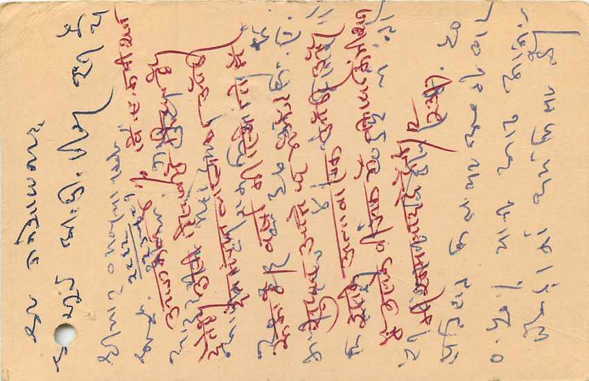 Inde India Entier Postal Stationary Tigre — Verso