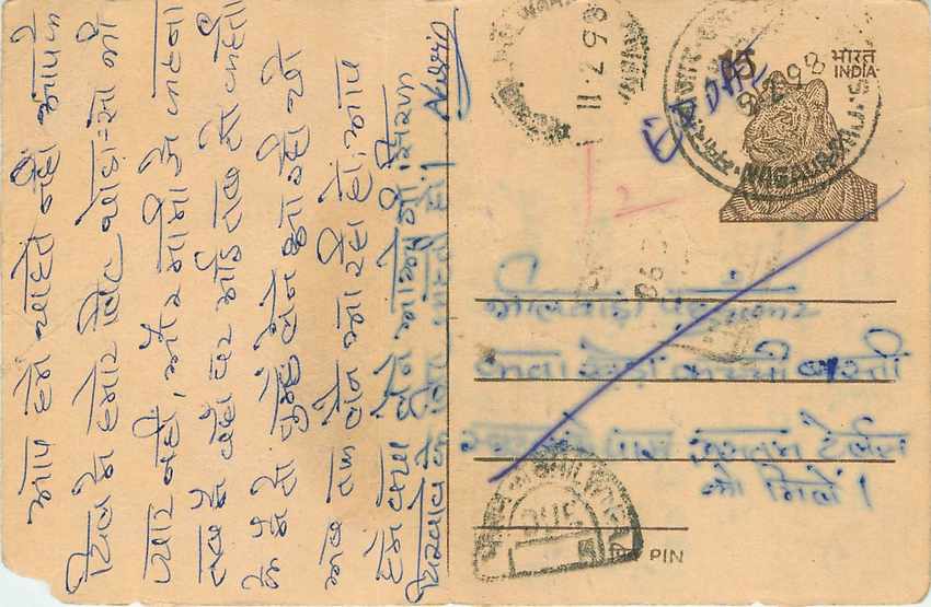 Inde India Entier Postal Stationary Tigre