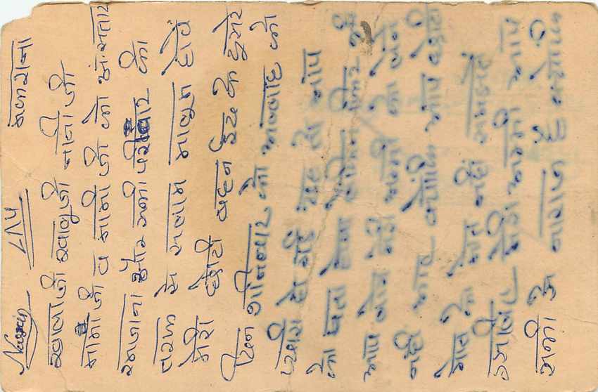 Inde India Entier Postal Stationary Tigre — Verso