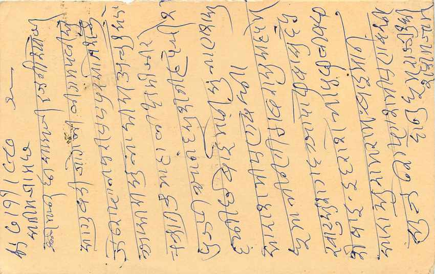 Inde India Entier Postal Stationary Tigre — Verso