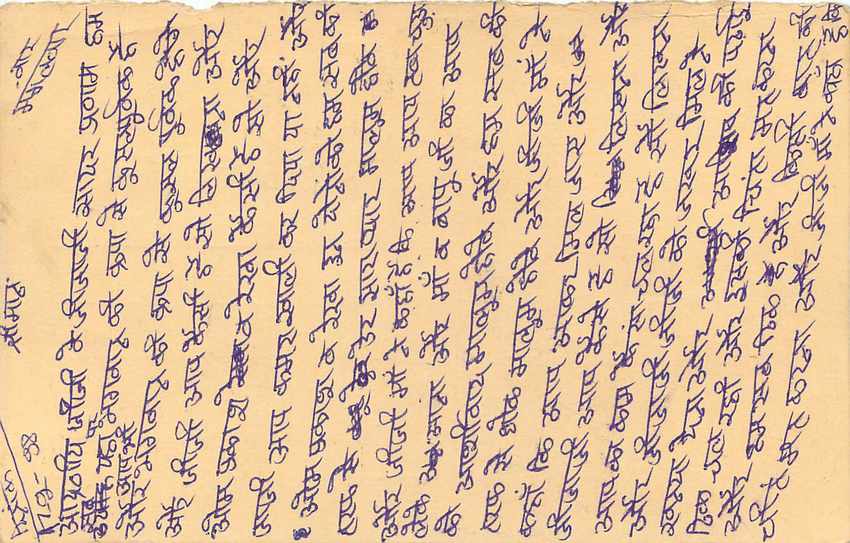 Inde India Entier Postal Stationary Tigre — Verso