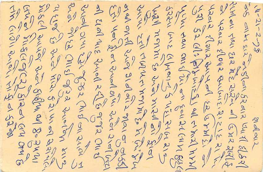 Inde India Entier Postal Stationary Tigre — Verso