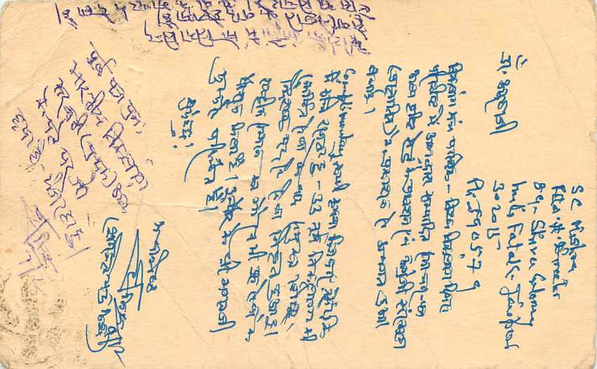 Inde India Entier Postal Stationary Tigre — Verso