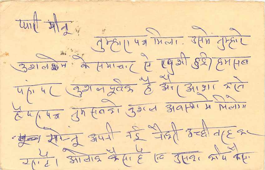 Inde India Entier Postal Stationary Tigre — Verso