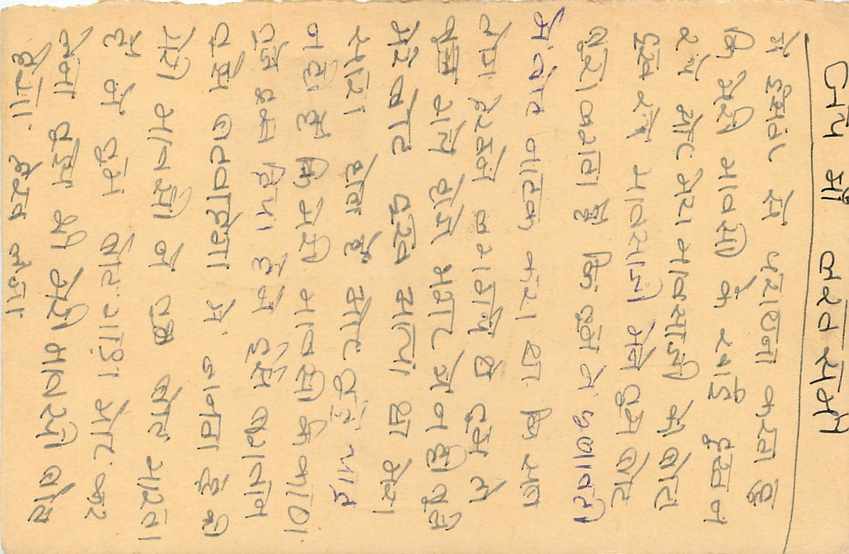 Inde India Entier Postal Stationary Tigre — Verso