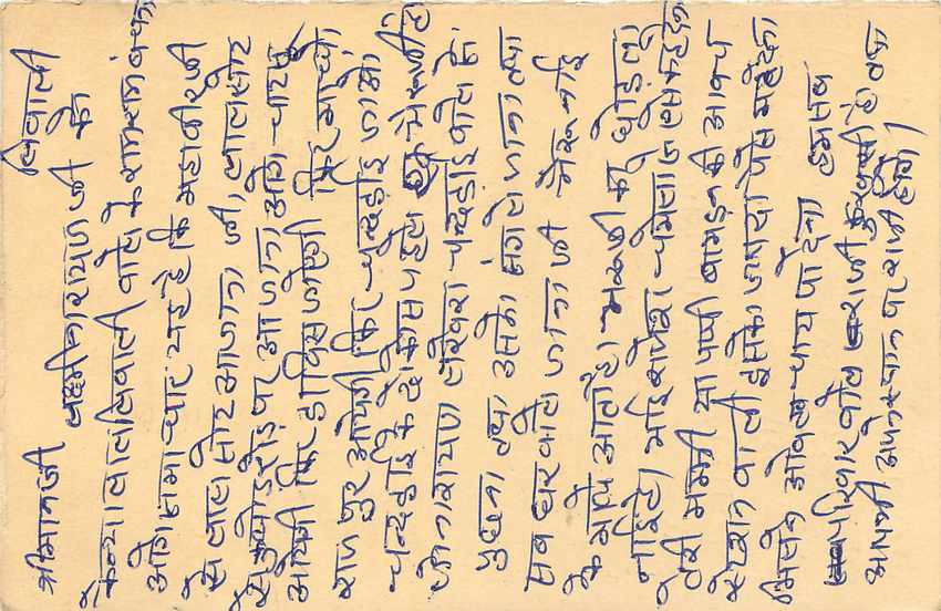 Inde India Entier Postal Stationary Tigre — Verso
