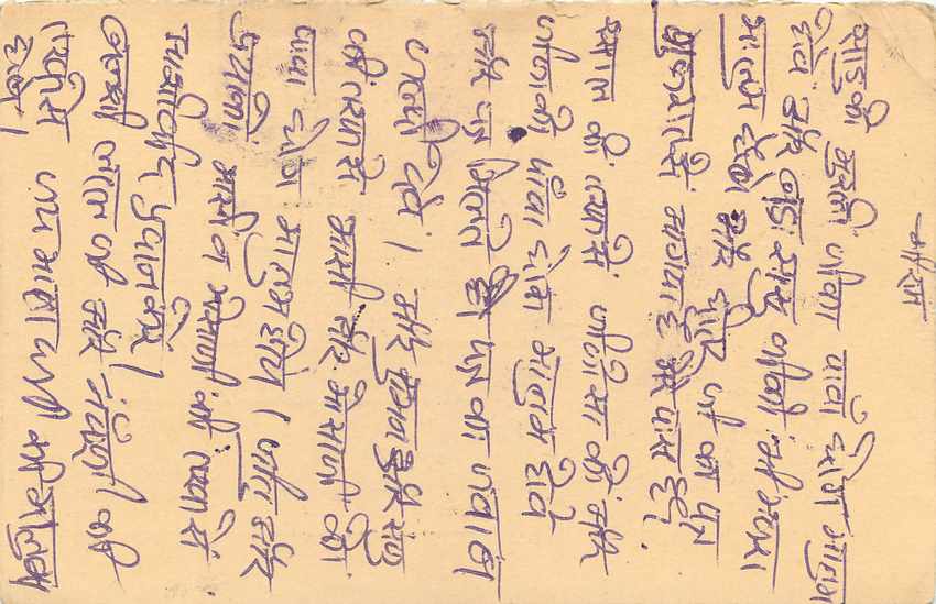 Inde India Entier Postal Stationary Tigre — Verso
