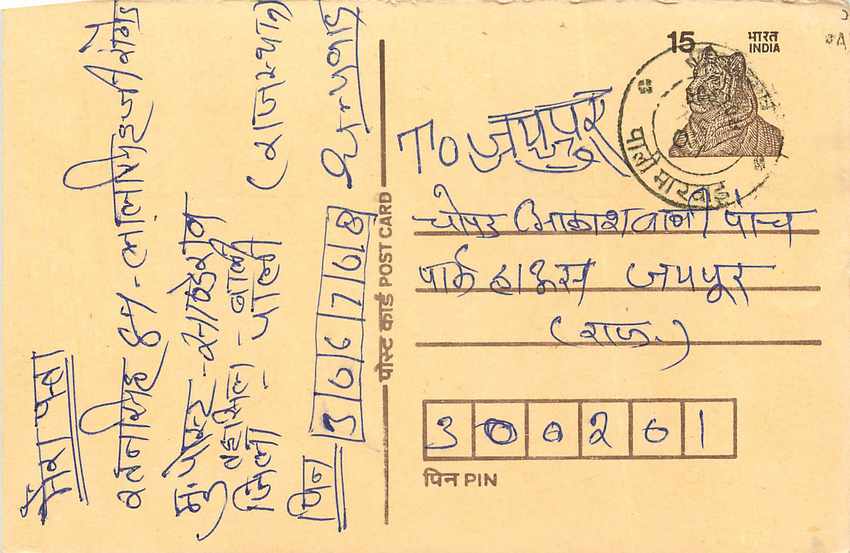 Inde India Entier Postal Stationary Tigre