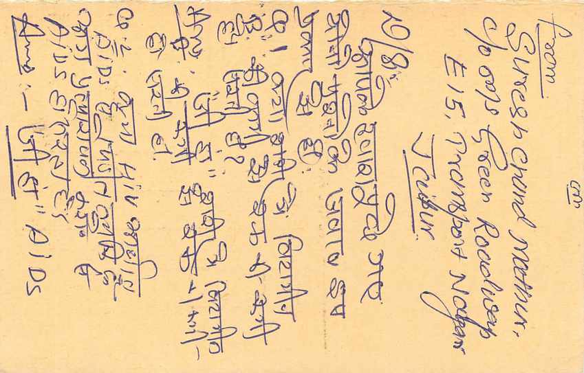 Inde India Entier Postal Stationary Tigre — Verso