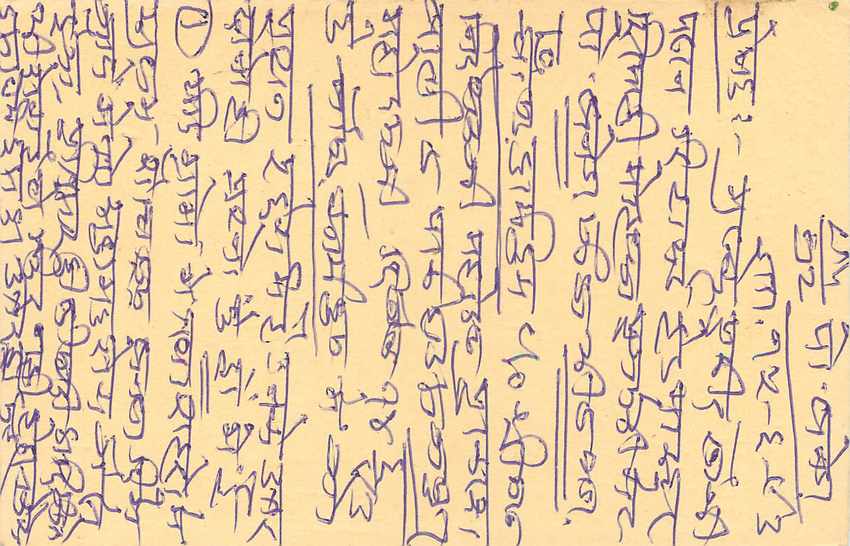 Inde India Entier Postal Stationary Tigre Tiger  — Verso