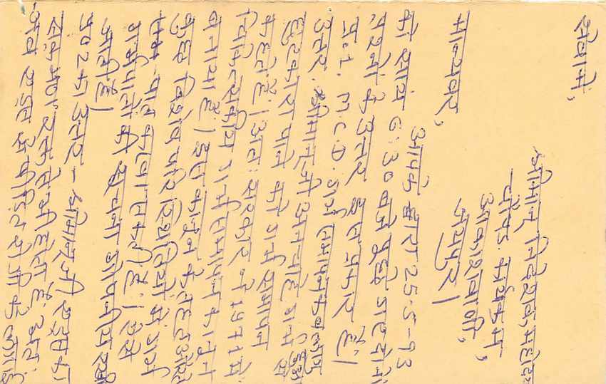 Inde India Entier Postal Stationary Tigre Tiger  — Verso