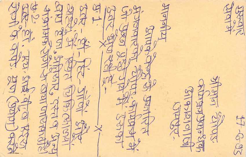 Inde India Entier Postal Stationary Tigre Tiger  — Verso