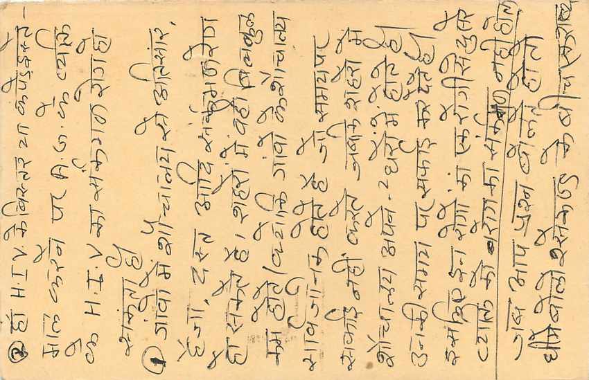 Inde India Entier Postal Stationary Tigre Tiger  — Verso