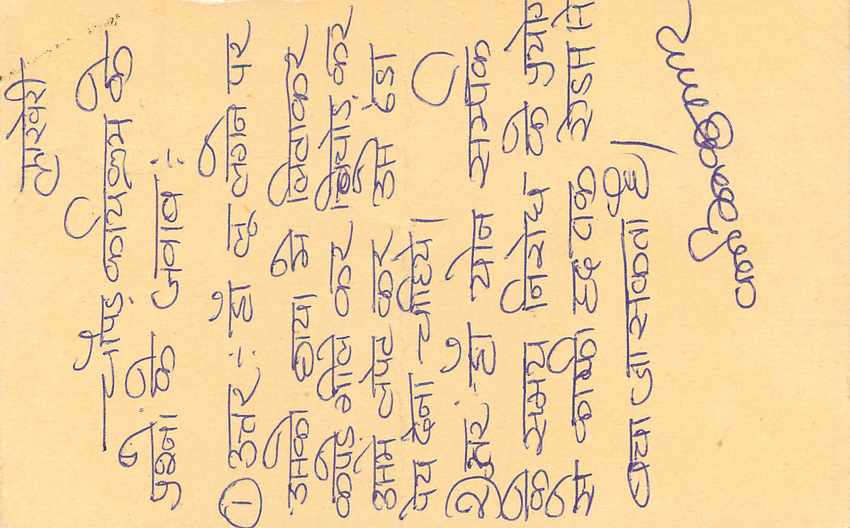 Inde India Entier Postal Stationary Tigre Tiger  — Verso