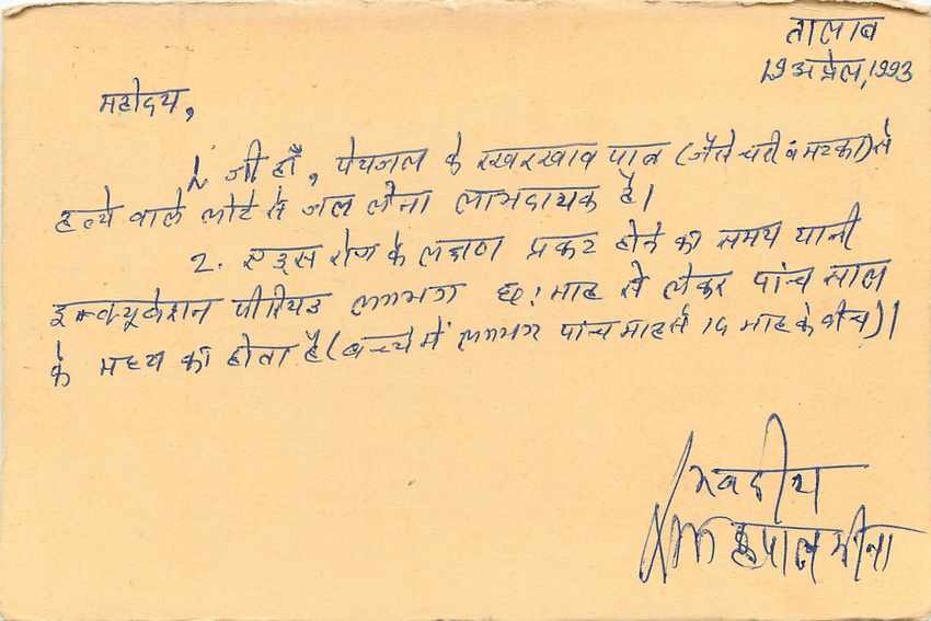 Inde India Entier Postal Stationary Tigre Tiger  — Verso