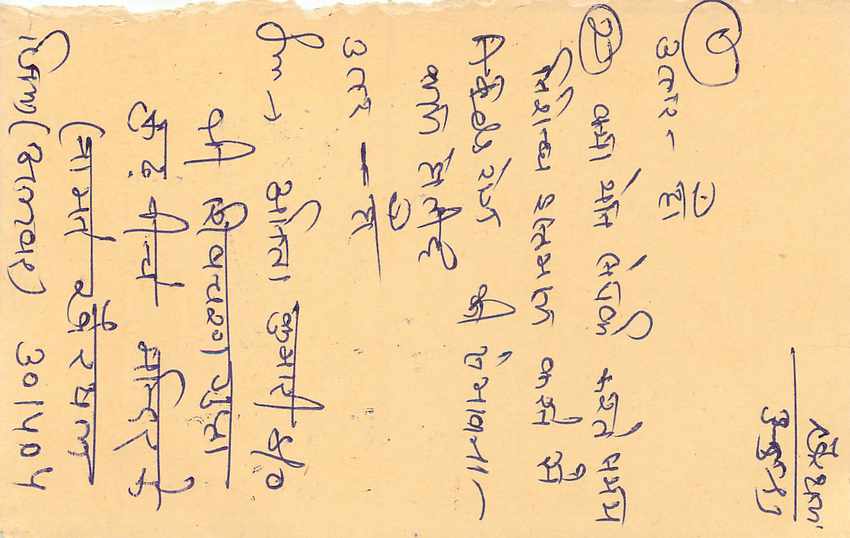 Inde India Entier Postal Stationary Tigre Tiger  — Verso