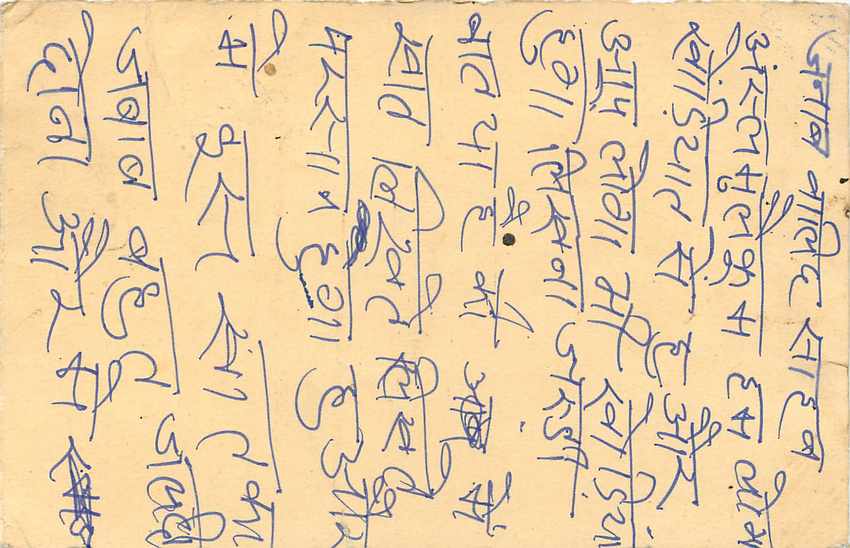 Inde India Entier Postal Stationary Tigre Tiger  — Verso