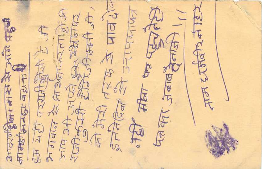 Inde India Entier Postal Stationary Tigre Tiger  — Verso