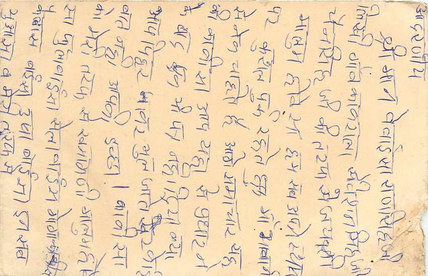 Inde India Entier Postal Stationary Tigre Tiger  — Verso