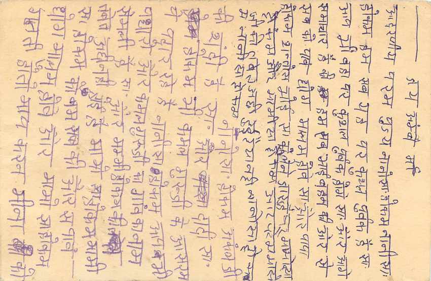 Inde India Entier Postal Stationary Tigre Tiger  — Verso