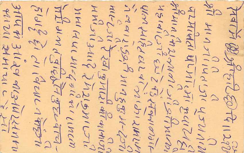 Inde India Entier Postal Stationary Tigre Tiger  — Verso
