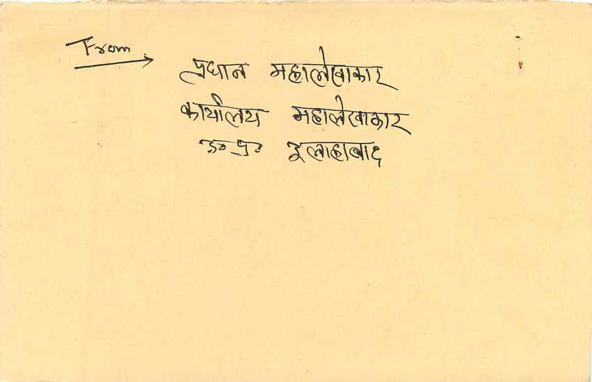 Inde India Entier Postal Stationary Tigre Tiger  — Verso