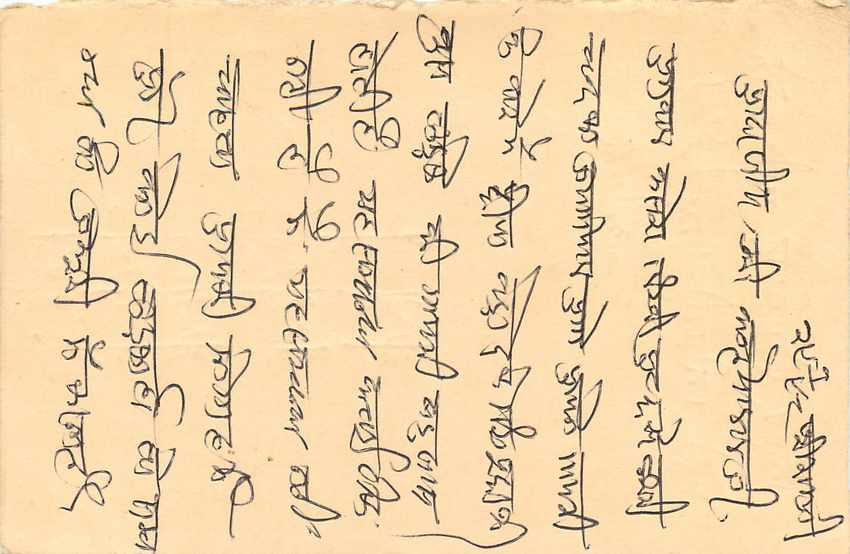 Inde India Entier Postal Stationary Tigre Tiger  — Verso